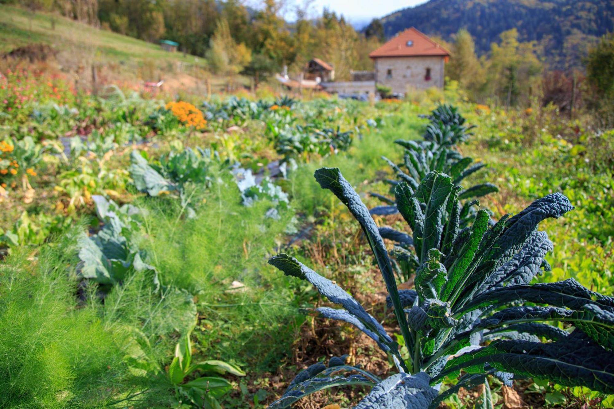Trichiana Agriturismo Fattoria Ortoalpino מראה חיצוני תמונה