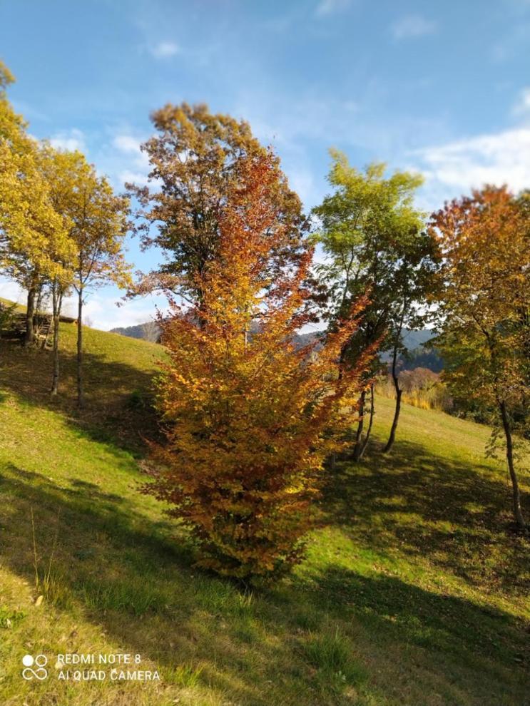 Trichiana Agriturismo Fattoria Ortoalpino מראה חיצוני תמונה