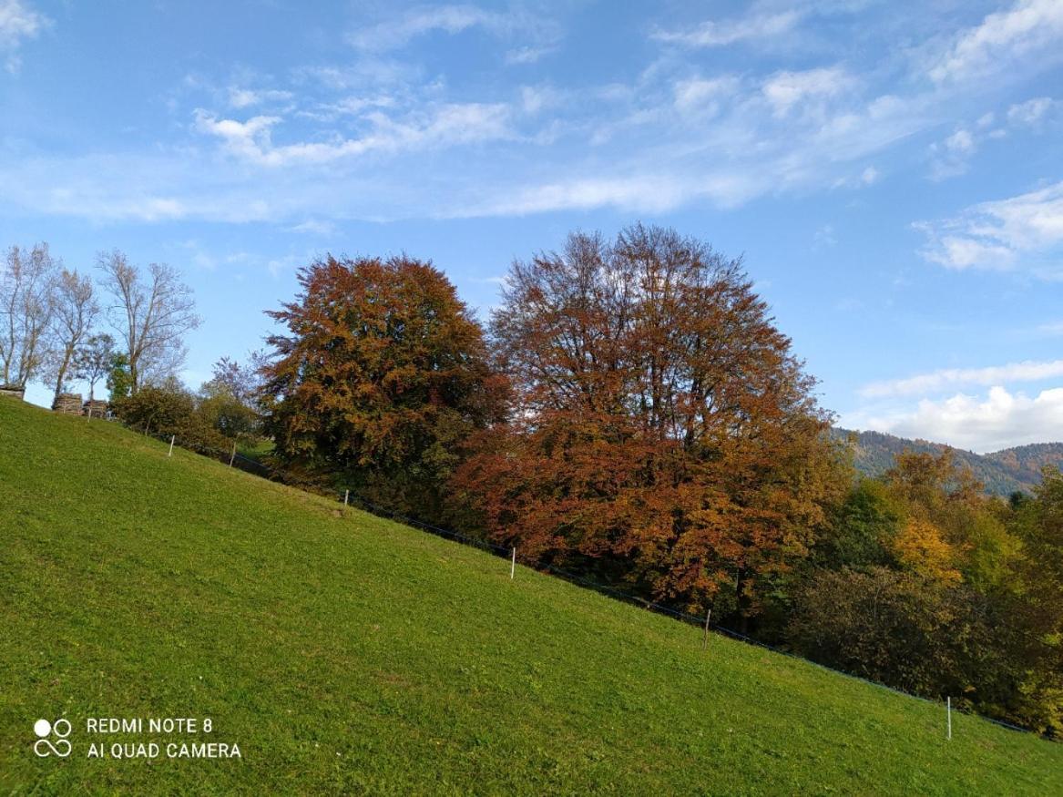 Trichiana Agriturismo Fattoria Ortoalpino מראה חיצוני תמונה
