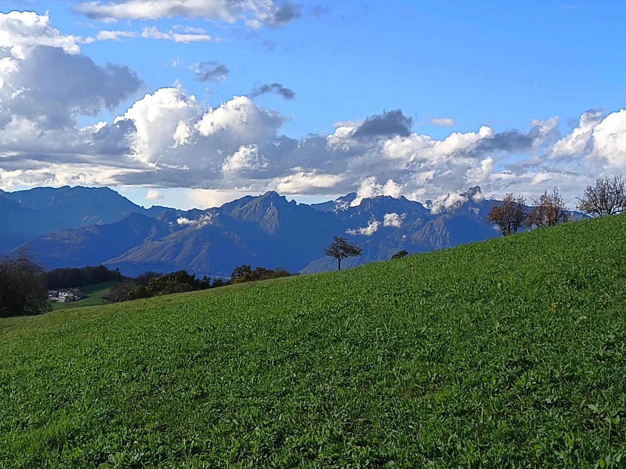Trichiana Agriturismo Fattoria Ortoalpino מראה חיצוני תמונה