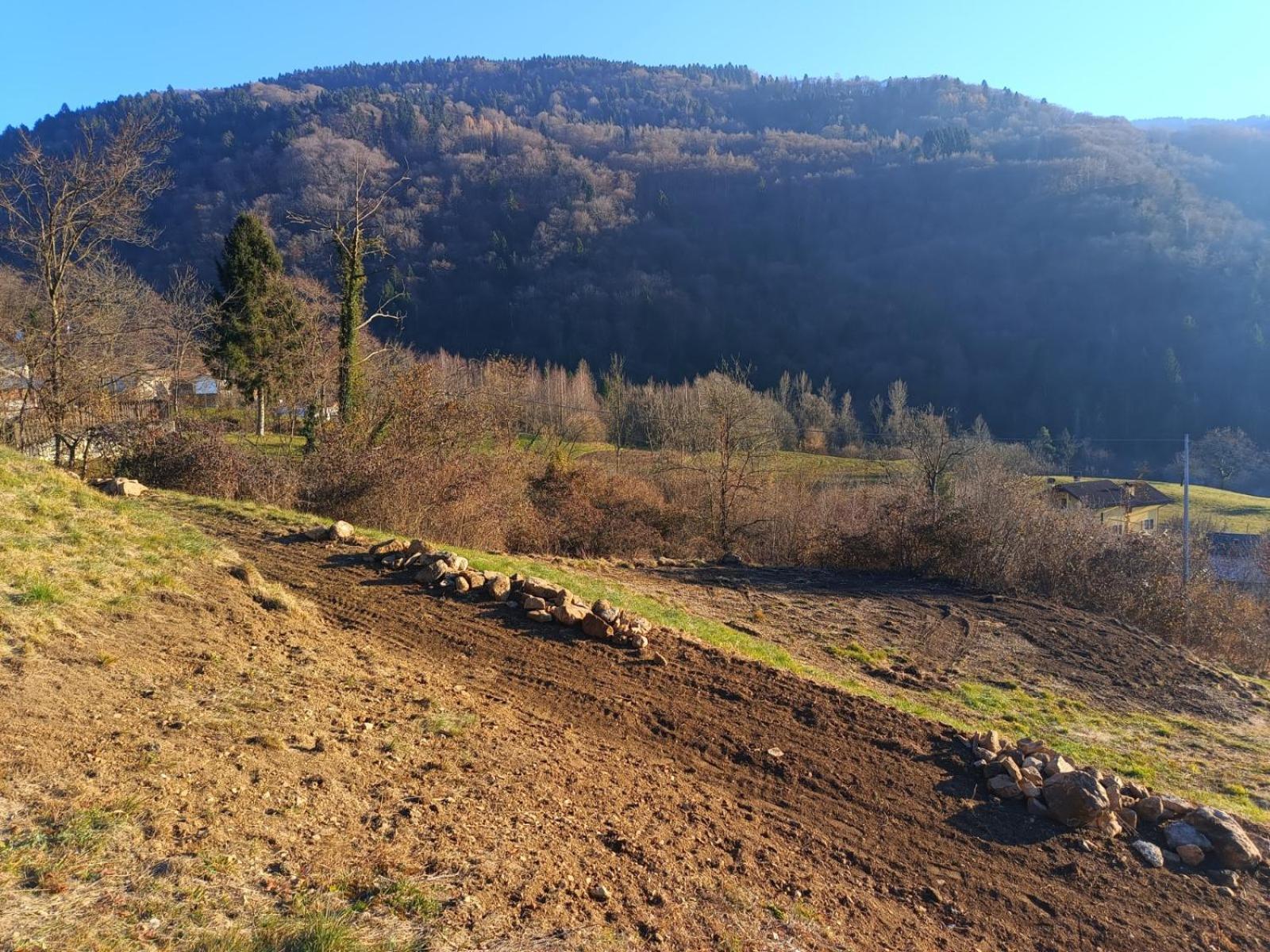 Trichiana Agriturismo Fattoria Ortoalpino מראה חיצוני תמונה