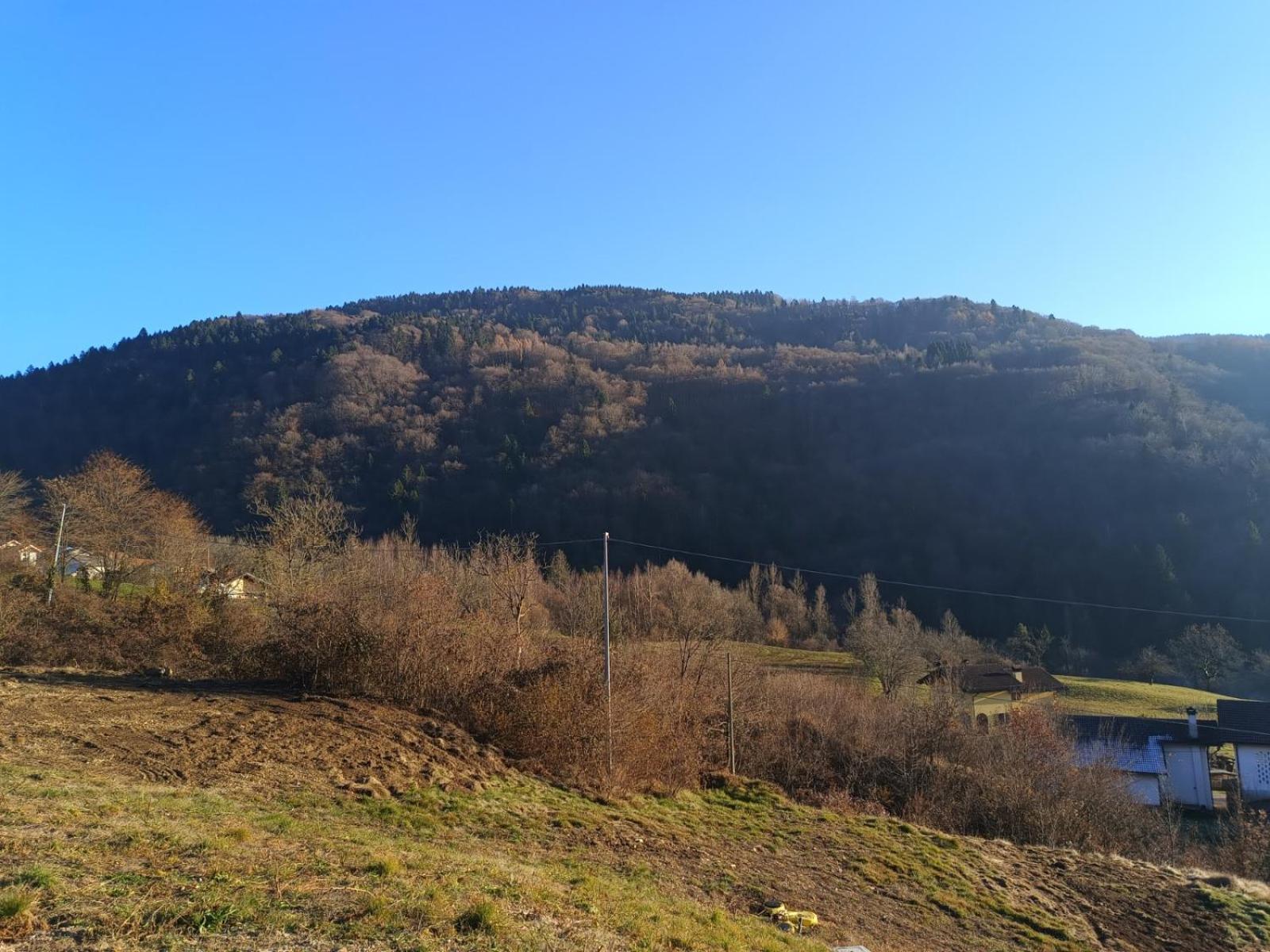 Trichiana Agriturismo Fattoria Ortoalpino מראה חיצוני תמונה