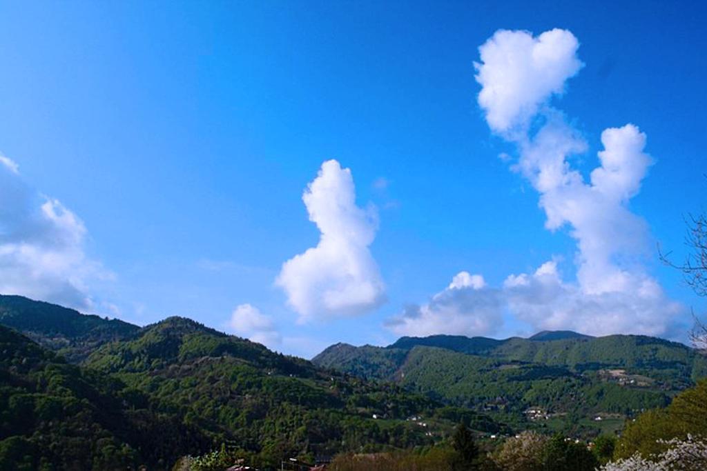 Trichiana Agriturismo Fattoria Ortoalpino מראה חיצוני תמונה