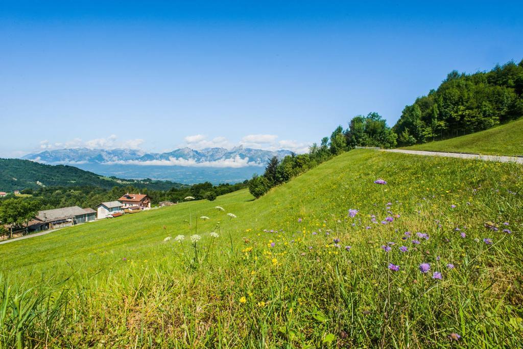 Trichiana Agriturismo Fattoria Ortoalpino מראה חיצוני תמונה