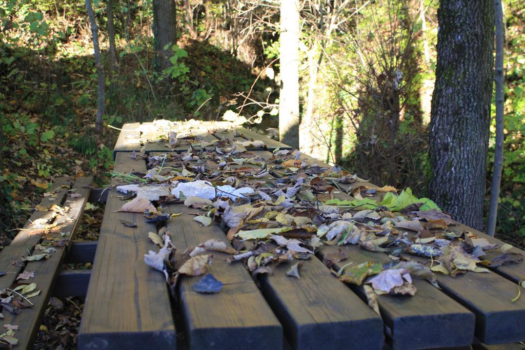 Trichiana Agriturismo Fattoria Ortoalpino מראה חיצוני תמונה