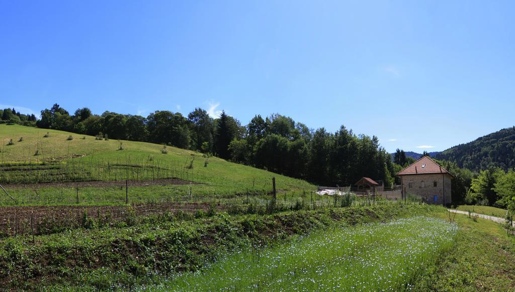 Trichiana Agriturismo Fattoria Ortoalpino מראה חיצוני תמונה